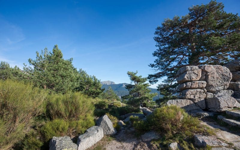 Mirador del valle de la Fuenfría