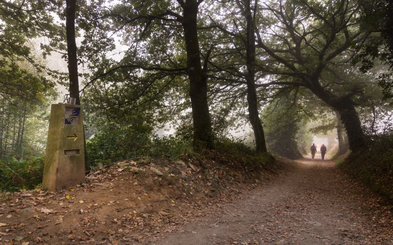 Uno de los senderos del Camino de Santiago
