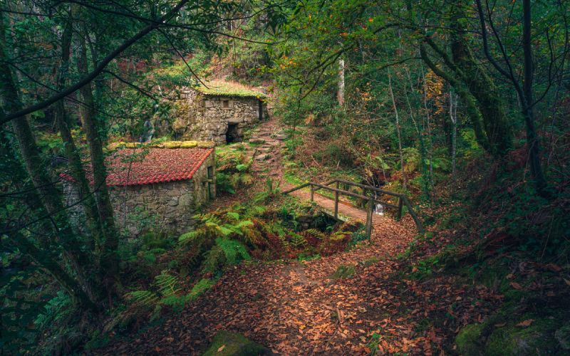 Postales gallegas