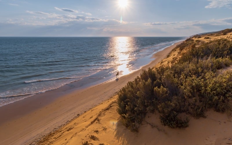 Playa Matalascañas