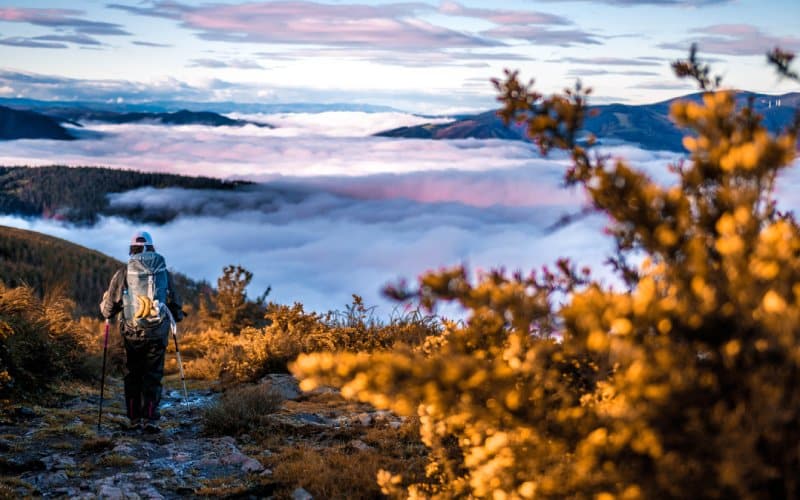 Paisajes del Camino de Santiago