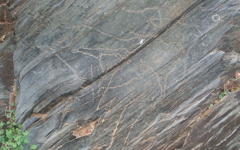 Restos prehistóricos de Siega Verde