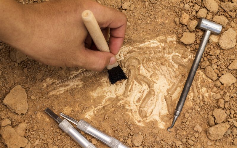Trabajos de arqueología