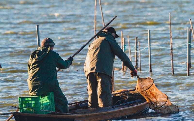 Pescadores en la Albufera