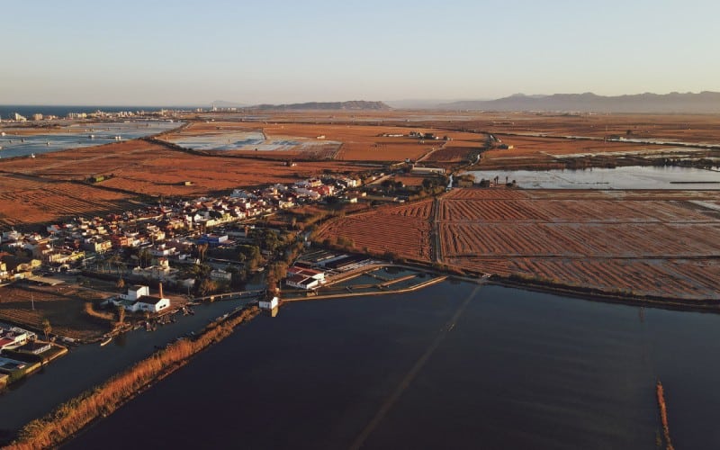 El Palmar