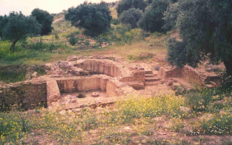 Lacimurga