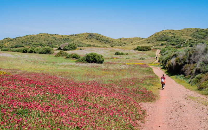 Camí de Cavalls