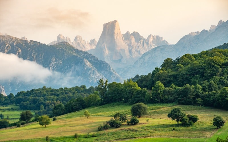 Naranjo de Bulnes