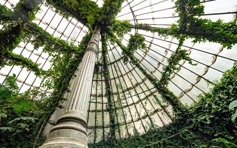 invernadero jardín botánico