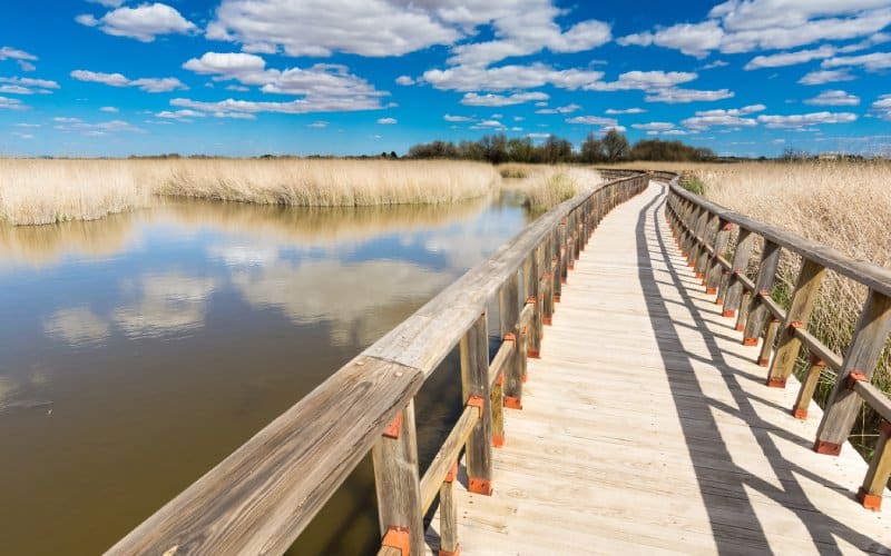 Parque Nacional de las Tablas de Daimiel