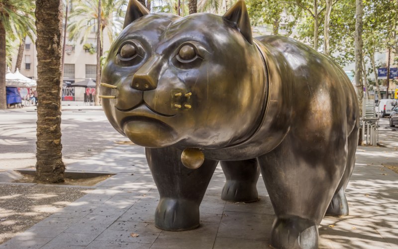 gato botero