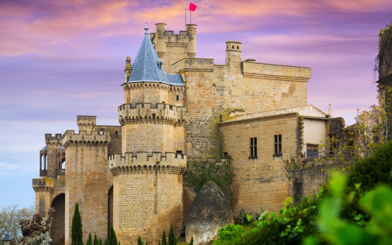 Palacio Real de Olite
