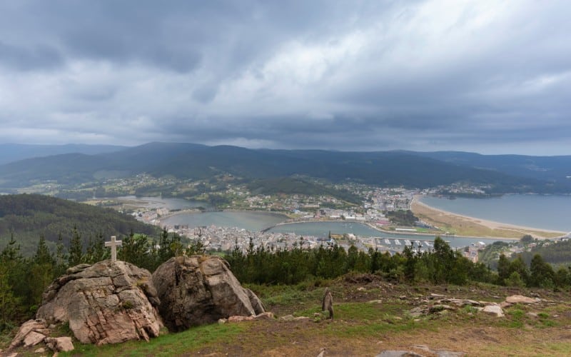 viveiro
