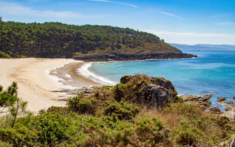 Playa de cabo Home