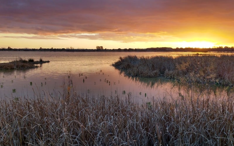 Paisaje de Doñana