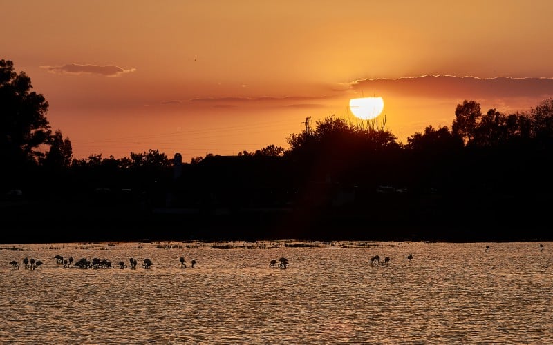 Atardecer en Doñana