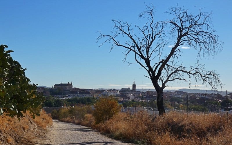 Vista de Illescas