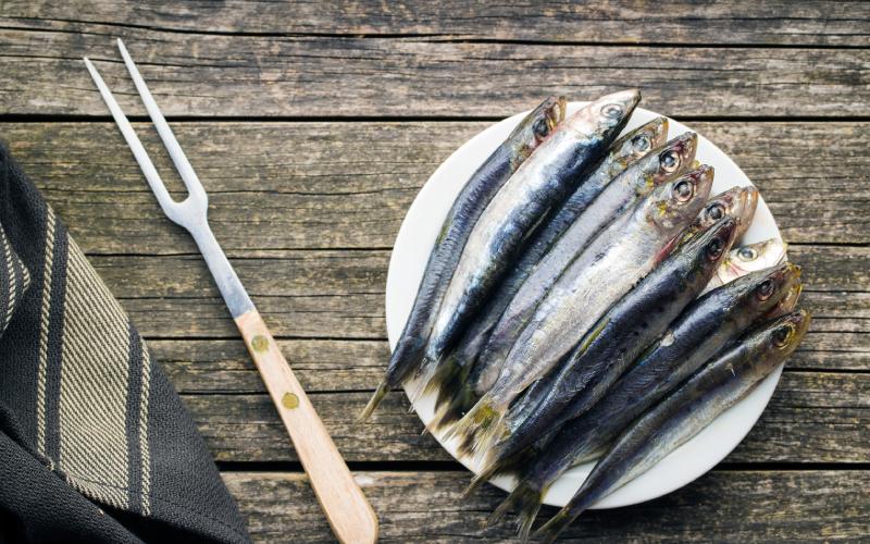 Sardinas