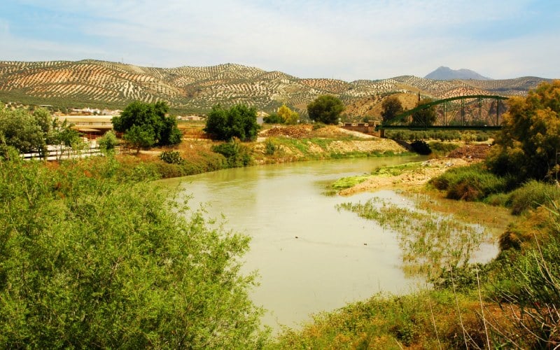Río Genil
