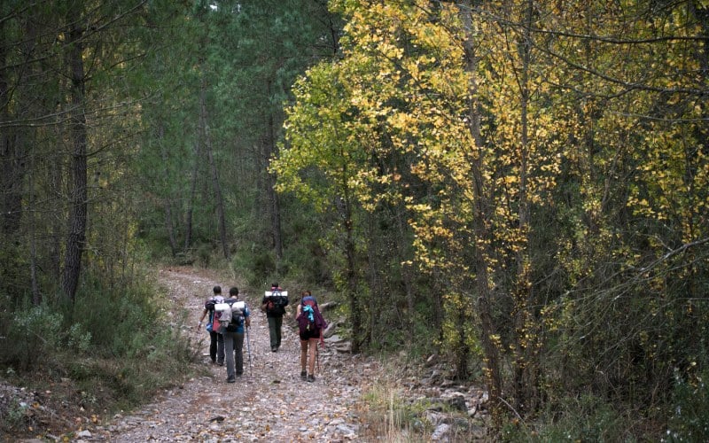 Senderismo en la sierra de Espadán