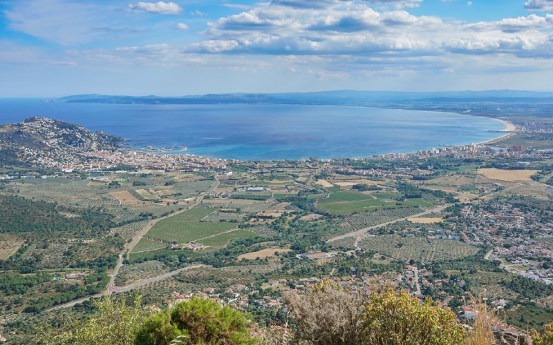 Rosas desde la montaña