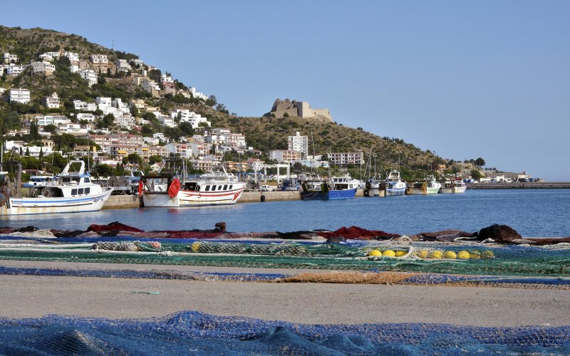 Rosas a pie de playa