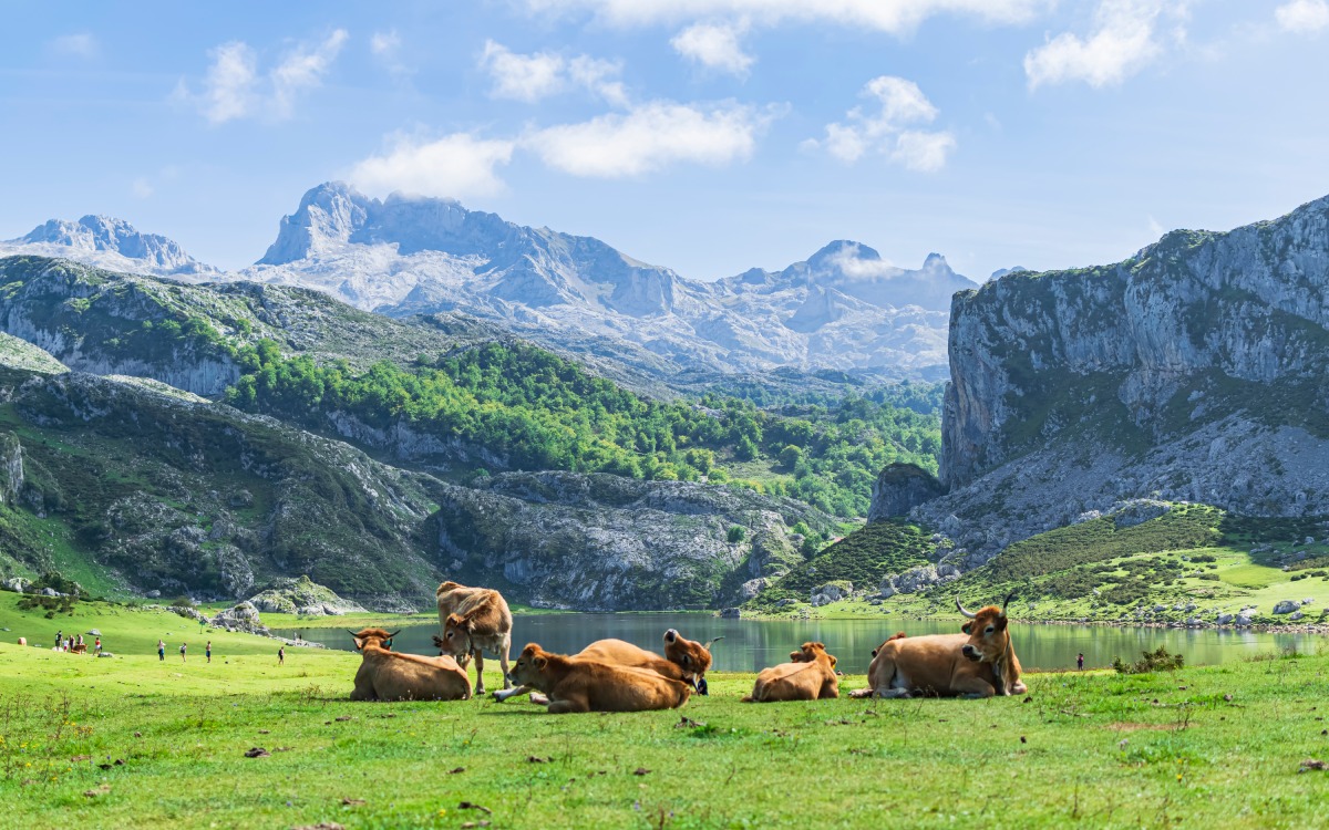Lagos de Covadonga