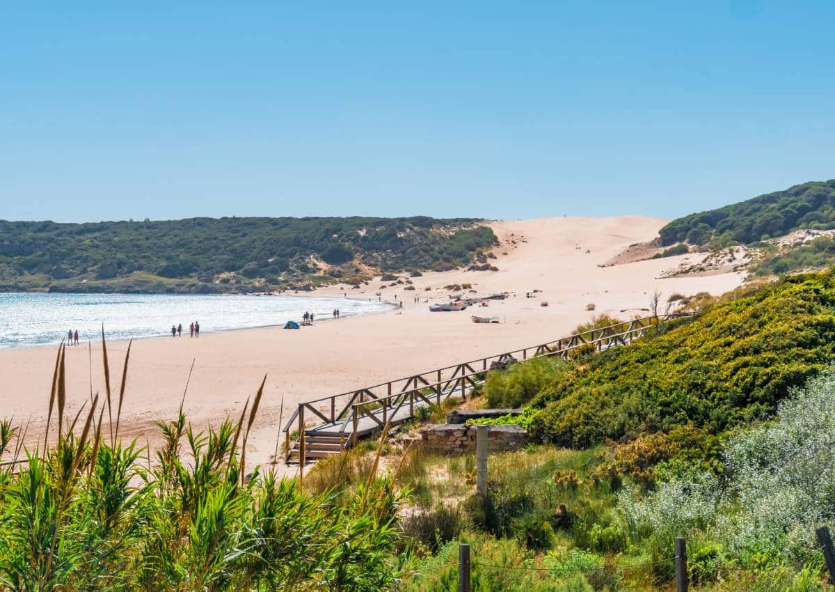 Duna de la playa Bolonia