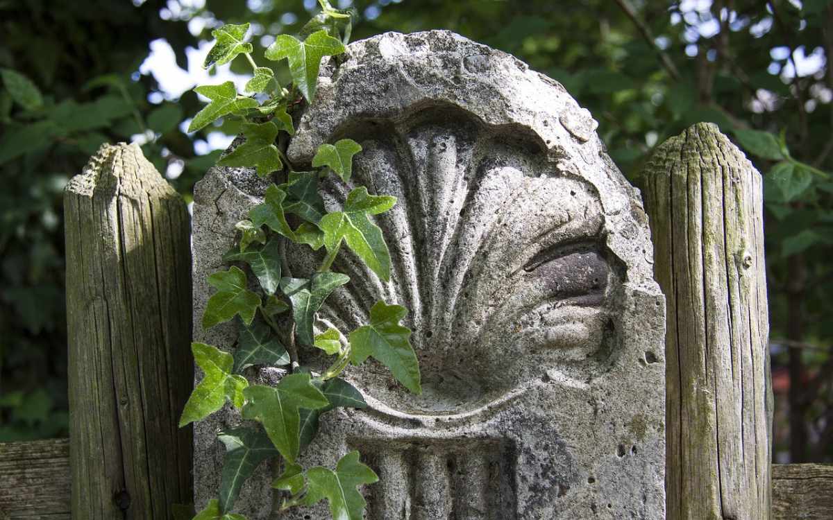 El Camino de Santiago
