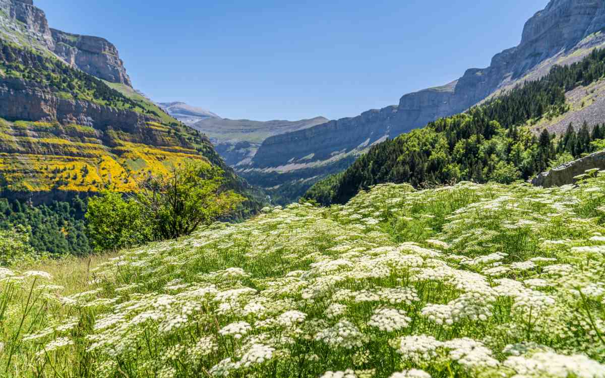 Valle de Ordesa en Aragón