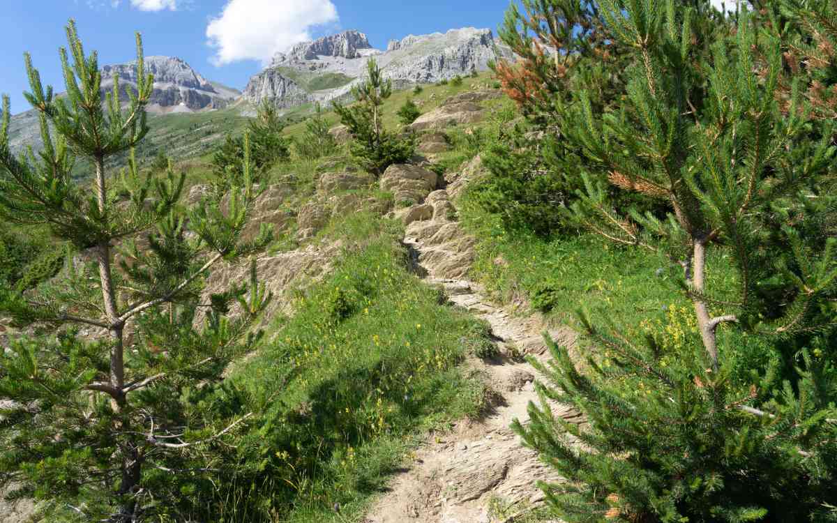 Explorar los Pirineos es una buena forma de viajar con adolescentes