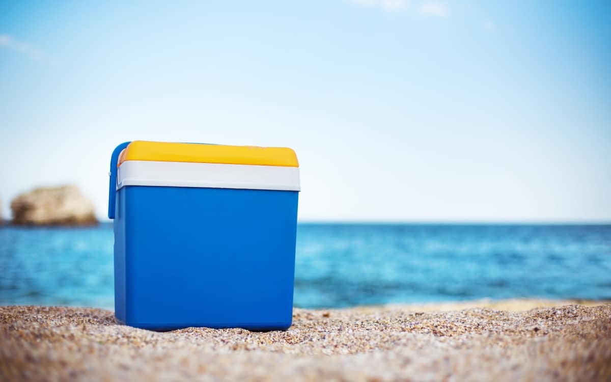 No puede faltar una nevera portátil en nuestro kit de supervivencia para la playa
