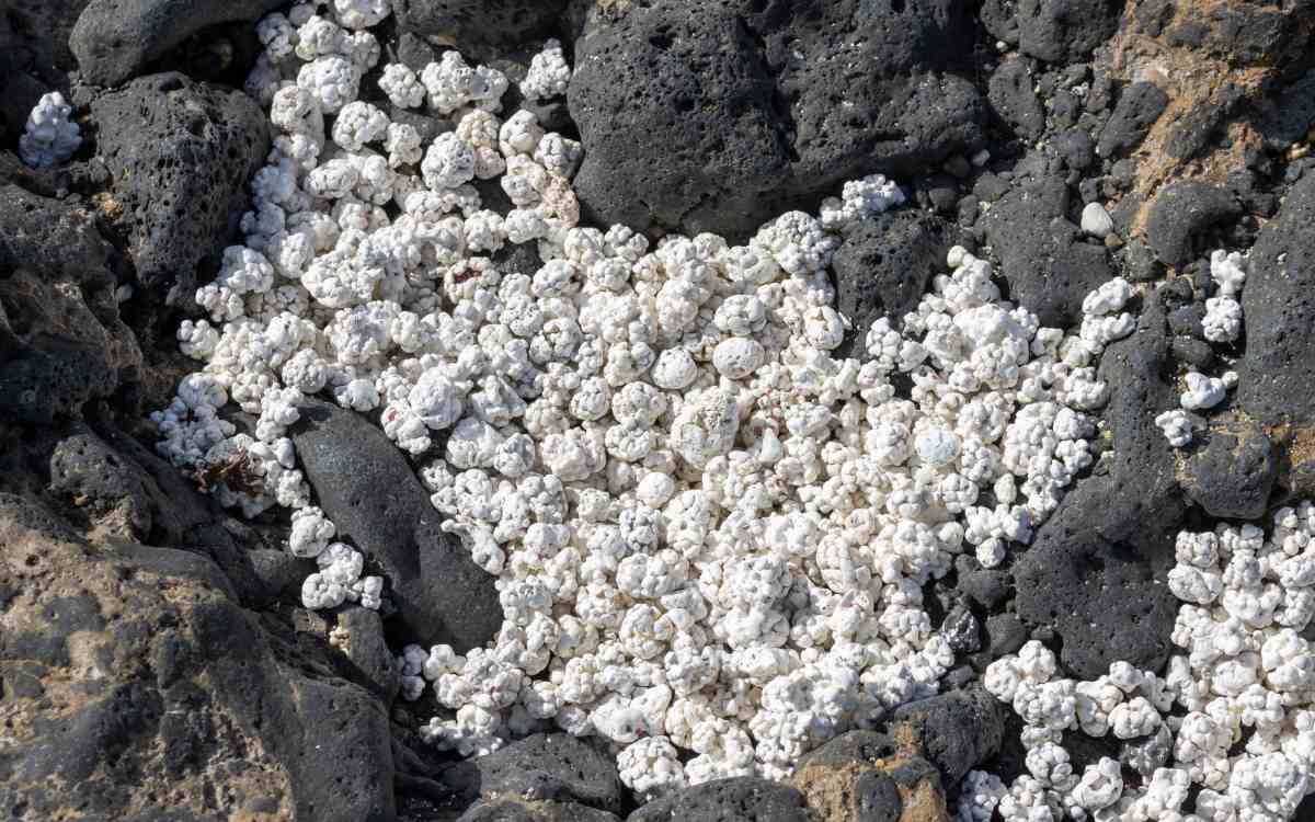 La ‘playa de las palomitas’
