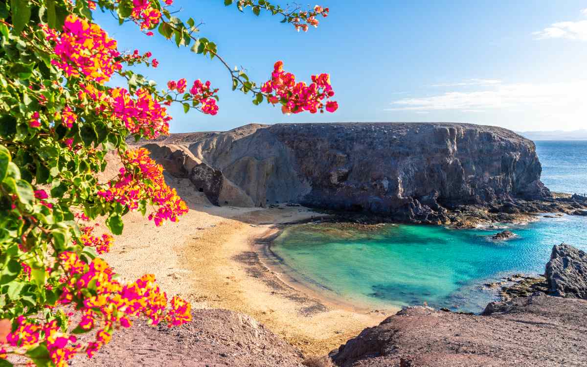 Playa del Papagayo
