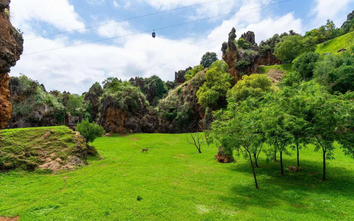 Cabárceno