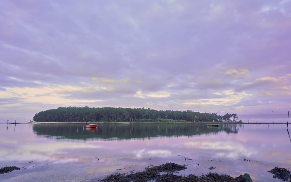 Isla de Cortegada