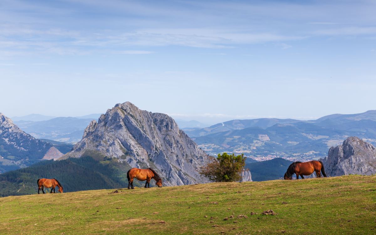Parque Natural de Urkiola.