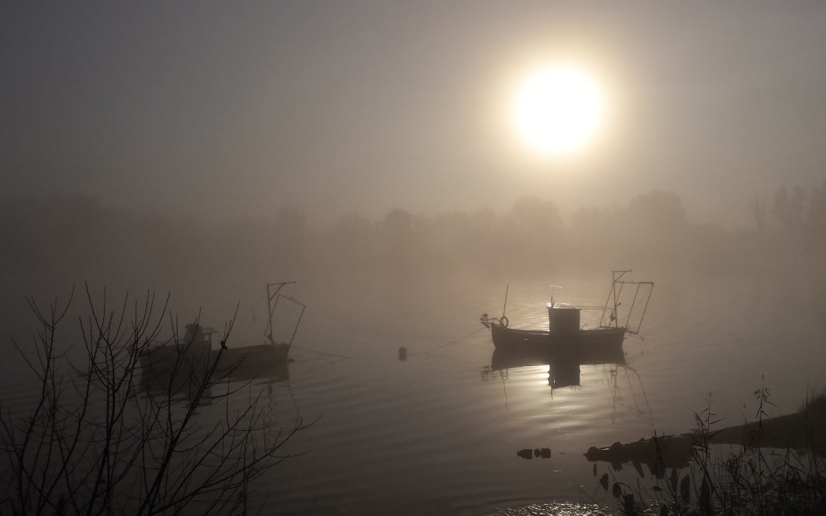 El Guadalquivir en su paso por Coria del Río