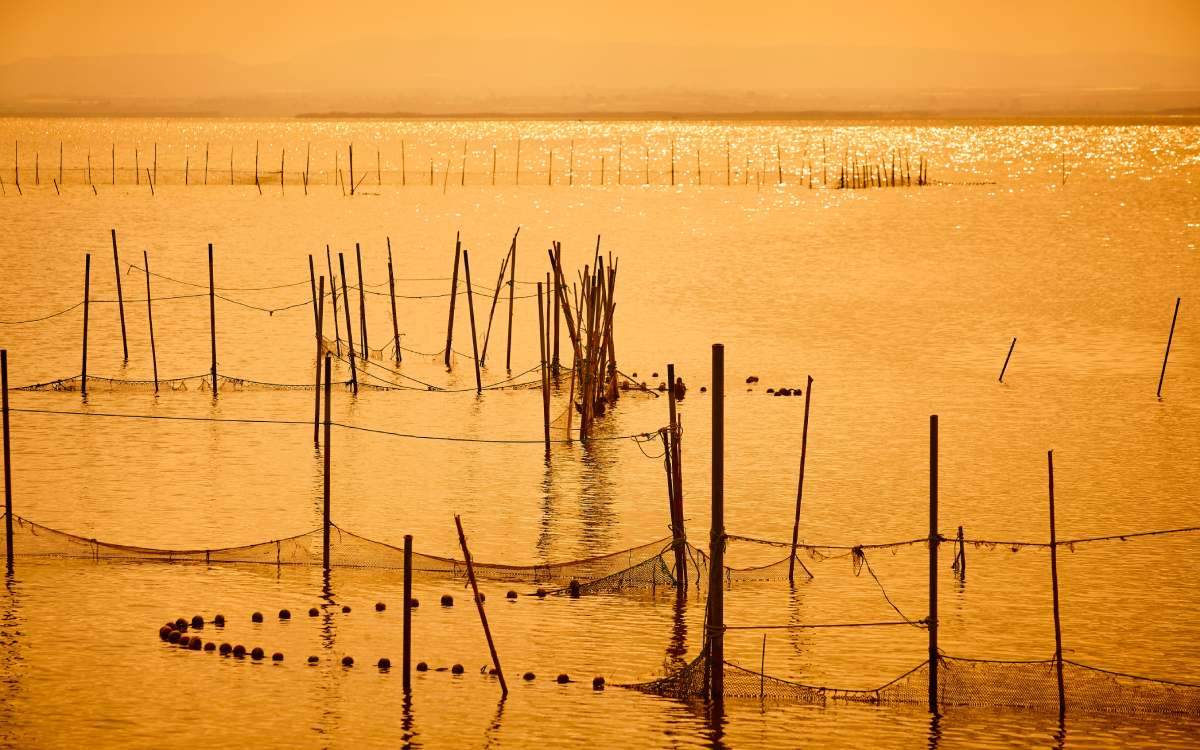 Parque Natural de la Albufera, Valencia.