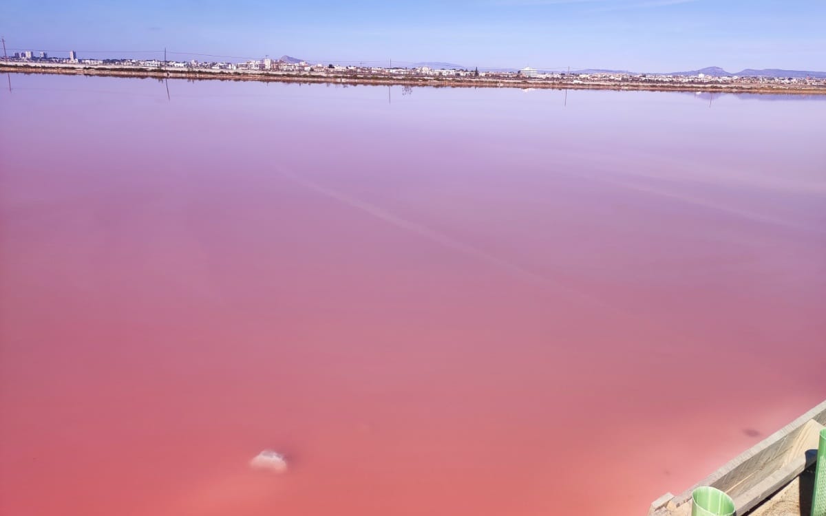 Laguna de sal del Parque Regional de las Salinas y Arenales de San Pedro