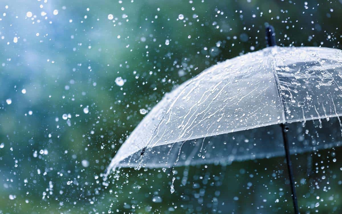 Un paraguas transparente facilita las cosas en un día de lluvia