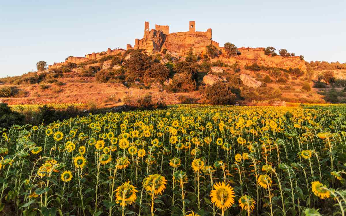 Castillo de Calatañazor