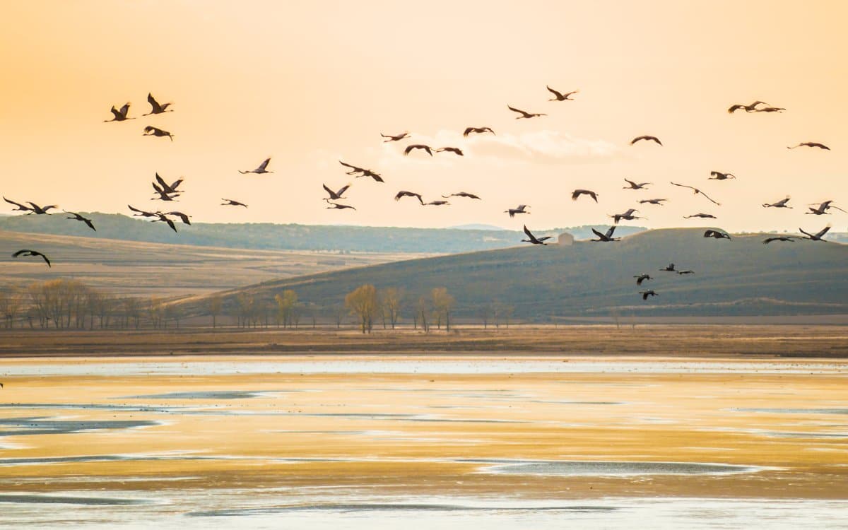 Laguna de Gallocanta