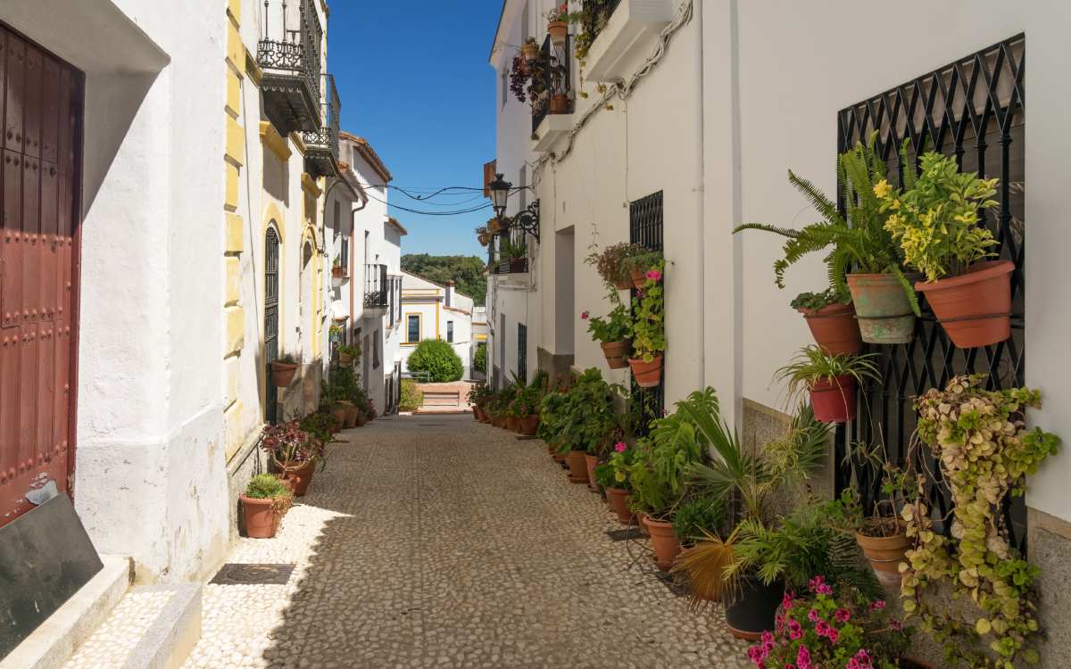 Típica calle con macetas en Almonaster la Real