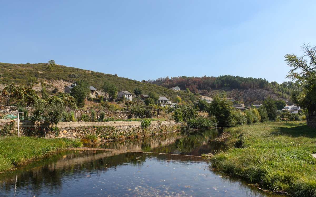 Rihonor de Castilla