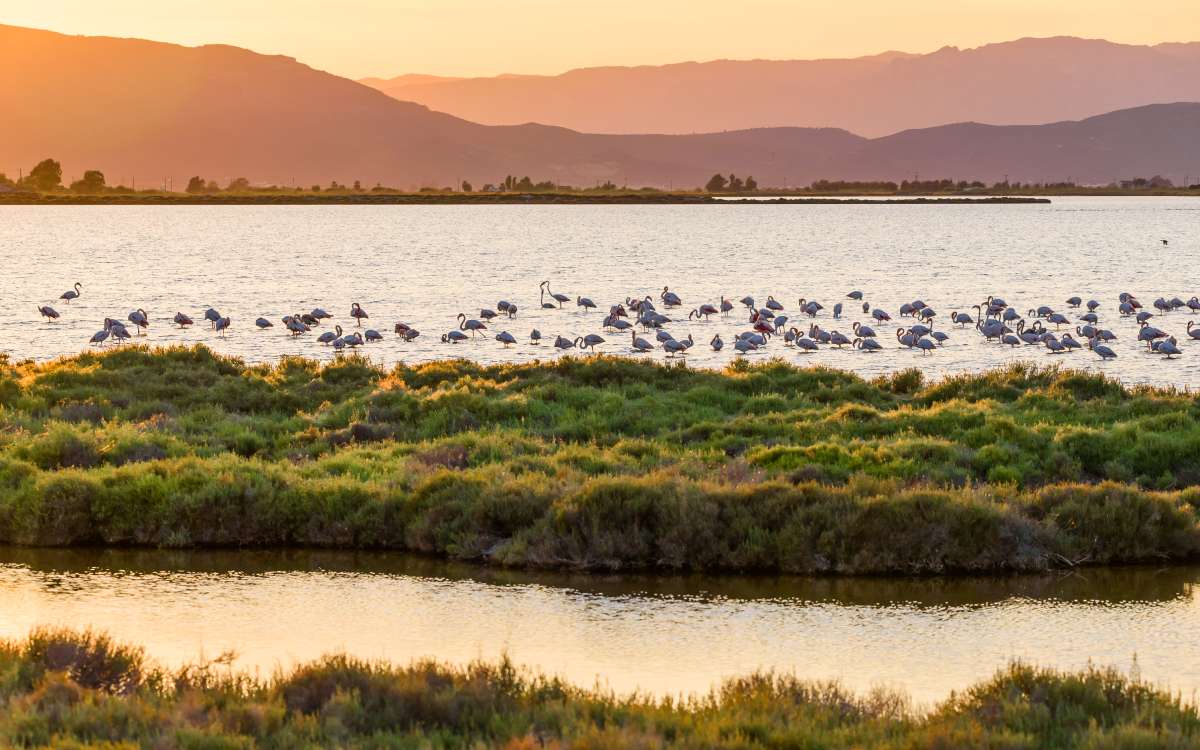 Parque Natural del Delta del Ebro