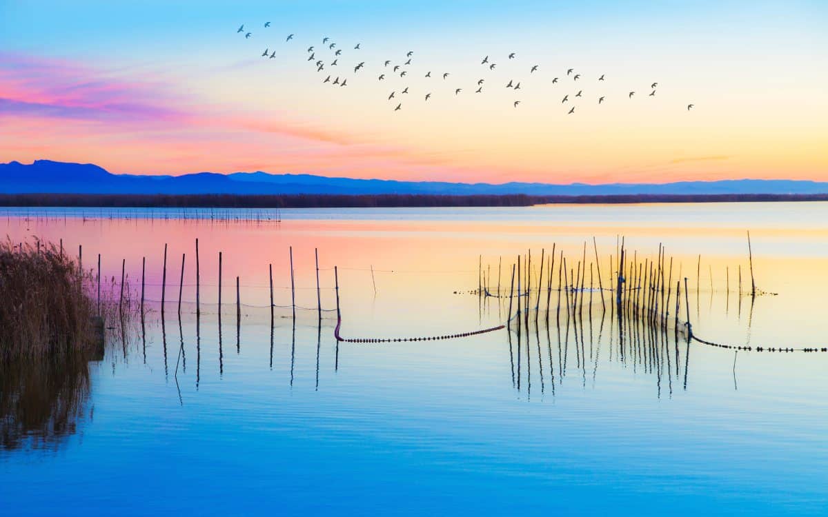 Parque Natural de la Albufera de Valencia