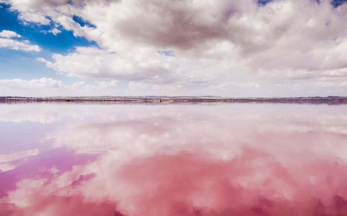 Laguna de Torrevieja