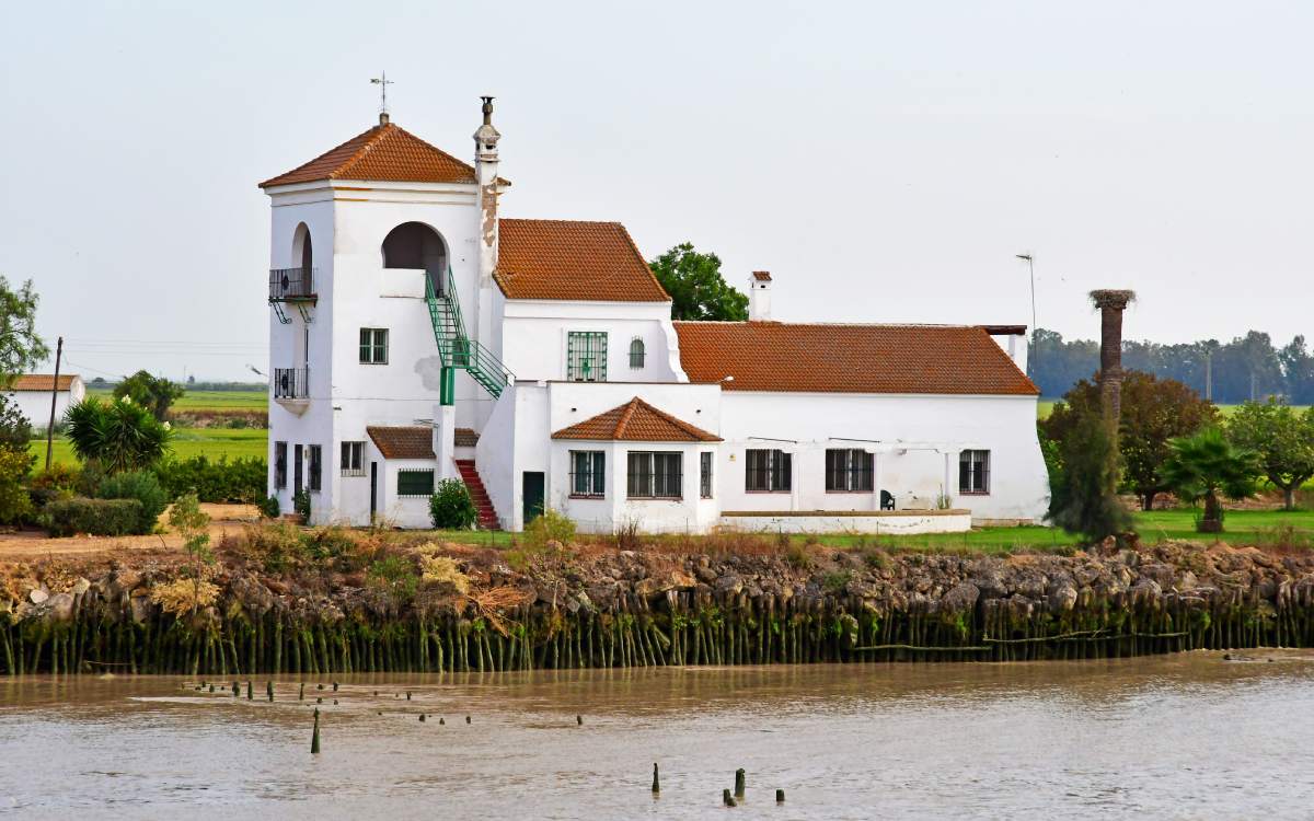 Isla Mínima