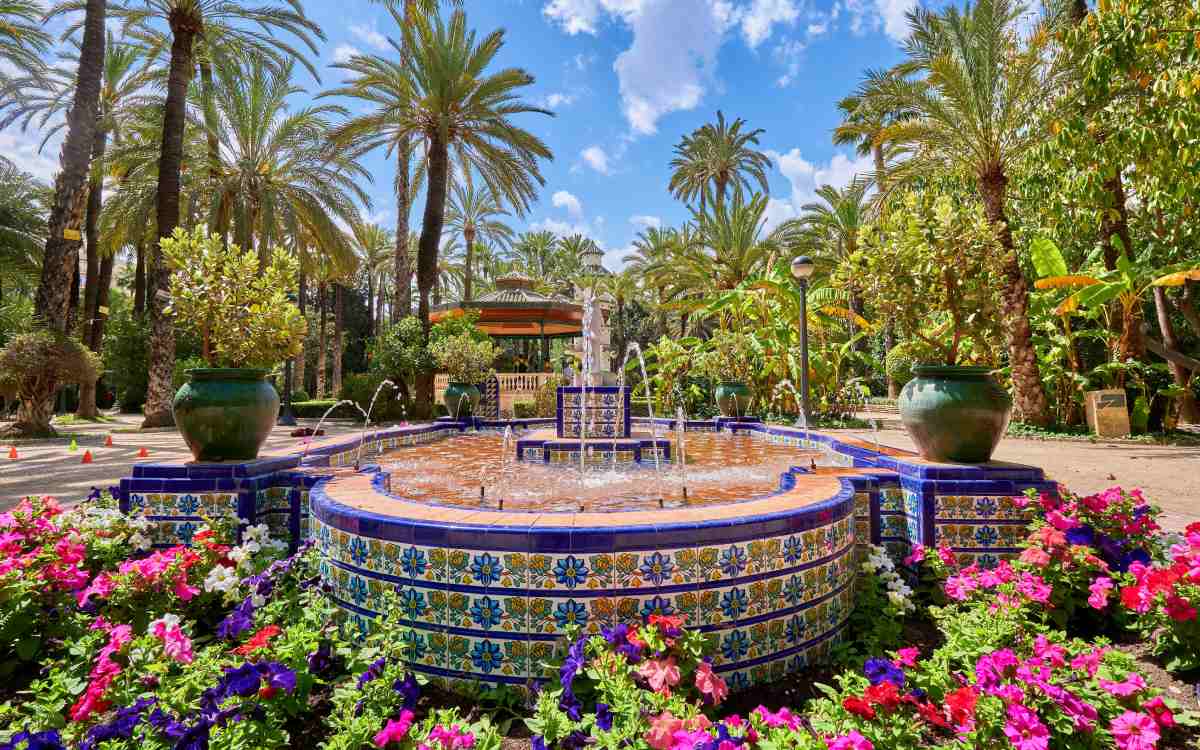 Palmeral de Elche